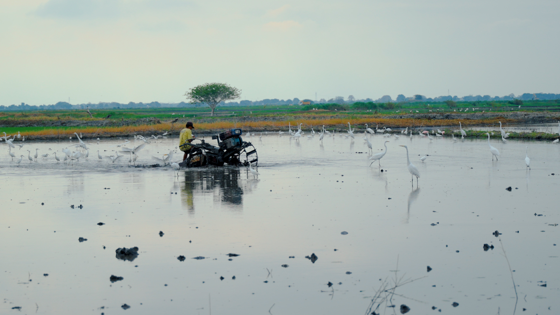 Tecnología y tradición