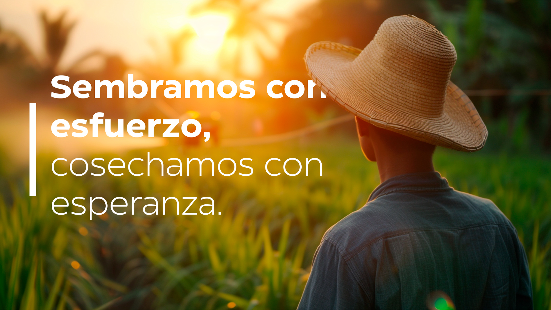 Pieza gráfica horizontal sobre el esfuerzo en el agro